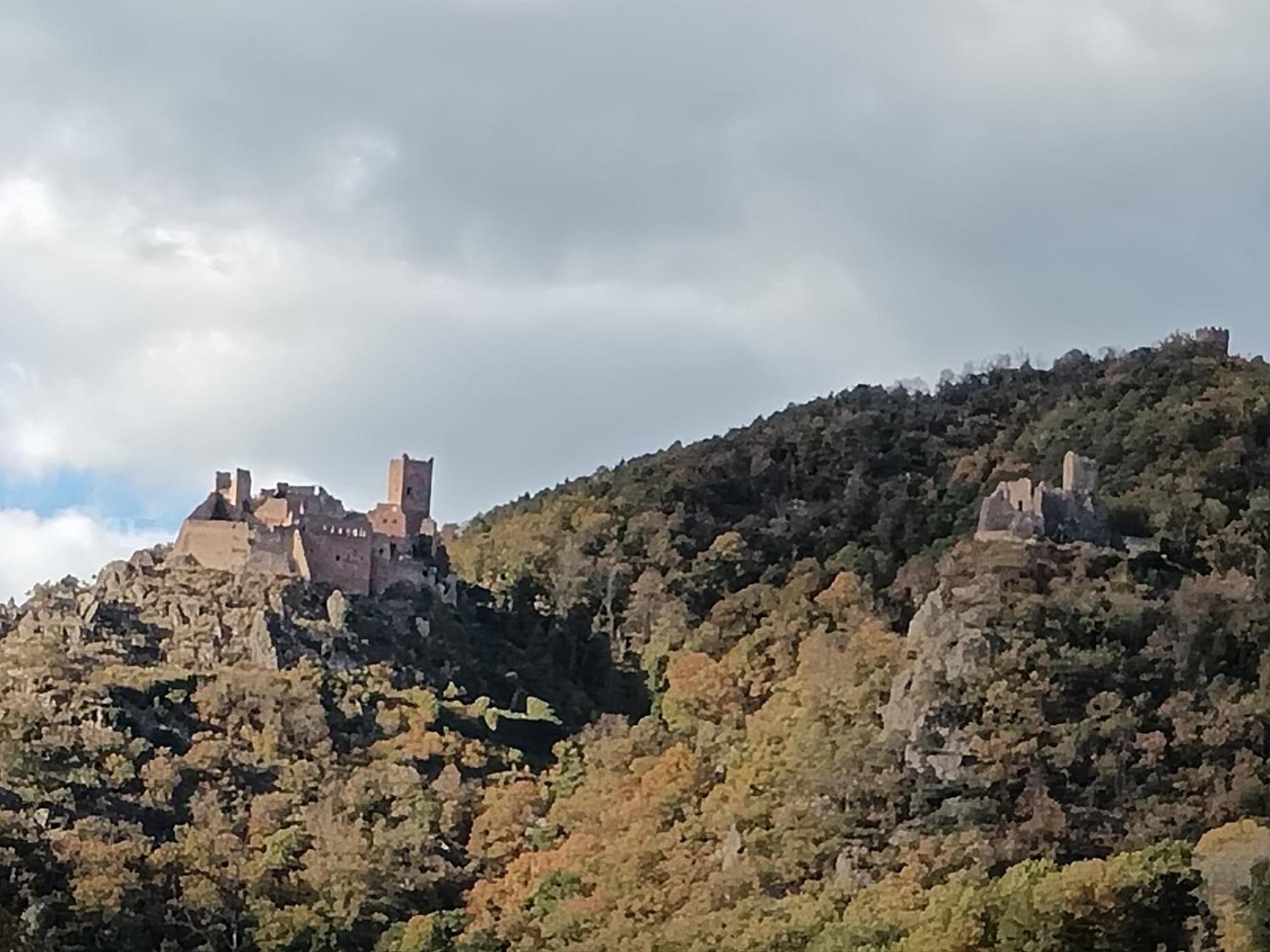 Le Bretzel Daire Ribeauvillé Dış mekan fotoğraf